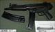 C93 w/ 2 mags and 160 rounds .223 