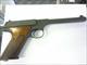 Colt Huntsman