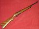 Ruger 10-22 Rifle (.22 LR)