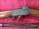 Windermusket 1885 low wall