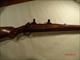 Pre-64 Winchester M70, .300 WinMag