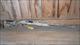 AS NEW IN BOX Benelli M2 Comfort Tech 20GA 26