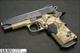 KIMBER PRO COVERT II .45 ACP (3200166)