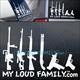 Gun Family Decal Stickers