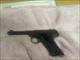 colt huntsman 