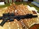 Spikes Tactical SL15 AR-15 SBR and suppressor