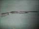 Charles Daly Pump 12 Gauge