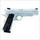 TAURUS PT 1911 .45 ACP SS W/RAIL 2-8RD MAGS