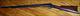 winchester model 1890