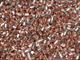 Berrys 9mm 124gr Bullets 124 grain not Hornady