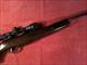 Beeman SS1000 Hunter 