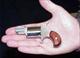 NAA 22LR 5 round revolver