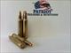 1000 Rounds 223/5.56 Rifle Ammo Match Grade 55 Grain Hollow Point Bullets