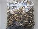 1000 9mm Brass once fired