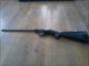 Charter Arms AR- 7 Surivial Rifle