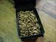 5.56 - SS109 Steel Core Penetrator 800 Round Case