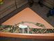 Soft shot gun case camo