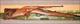 brand new in the box ruger 10/22 boy scout limited edition