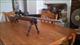 Savage model 12. 300. Winchester short mag.