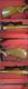Savage Mdl 110 7mm Mag *MUST CALL*