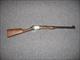 Winchester 9417 .17HMR