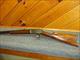 Marlin 1889