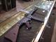 GSG STG-44 .22LR