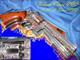 Revera Vasco Engraved S&W .38 Special
