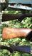 Ruger Red Label 28Ga Over Under O/U