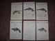 S&W manuals