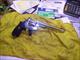 Click for full