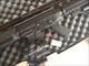 Sig sauer 556 Rifle ( piston driven action) 