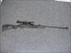 Stoeger X50 w/3-9x40 variable power scope