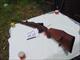 WALTHER MODEL B IN A 30.06 BOLT ACTION