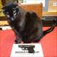Click for full
