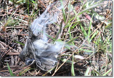 The Guns of 1776 - Musket Replicas from Davide Pedersoli The Guns of 1776 - Musket Replicas from Davide Pedersoli