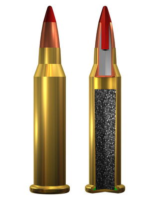 Winchester Ammunition .17 Super Magnum Rimfire .17WSM - SHOT Show 2013