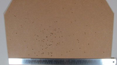 Heizer Defense PS1 Pocket Shotgun Pistol – New Gun Review Reversing the snake target gives a better view of the pattern density and spread.