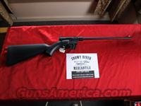 HENRY US SURVIVAL RIFLE 22LR  Henry Rifle Company
