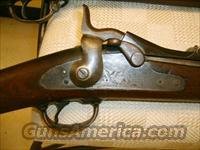 1873 and 1884 Springfield Rifles  Springfield Armory Rifles > FAL Type