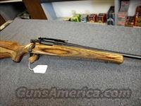 REMINGTON SEVEN 260CAL, LAMINATE STOCK  Remington Rifles - Modern > Bolt Action Non-Model 700 > Sporting