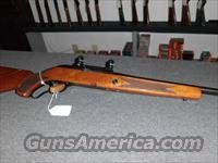 SAKO FINNWOLF VL63 243CAL  Sako Rifles > Other Bolt Action
