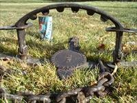 Oneida Newhouse #5 bear trap  Traps - Bear