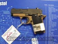 SIG 238-380-SNAKE  Sig - Sauer/Sigarms Pistols > P239