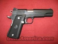 PARA BIG HAWG  HI-CAP  Para Ordnance Pistols