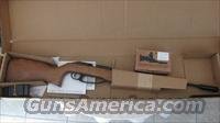 Daisy Avanti Elite mod. 753 target  Air Rifles - Pistols > Adult High Velocity