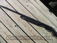 EAA Baikal MP-153 12 ga   Baikal Shotguns > Autoloader > Hunting