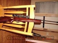 Beeman Sportsman 1000 series .177cal  Air Rifles - Pistols > Adult High Velocity