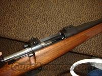 Kimber 84m 308 win Walnut stock perfect  Kimber of America Rifles