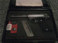TDE Automag 44  Auto Mag Pistols